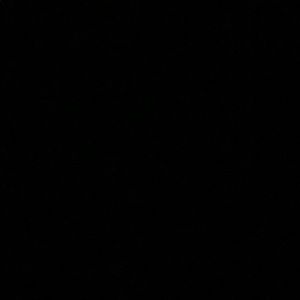 Meet your Posher, Shay